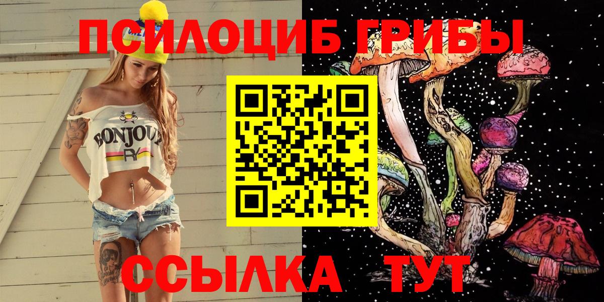 Галлюциногенные грибы GOLDEN TEACHER Фролово