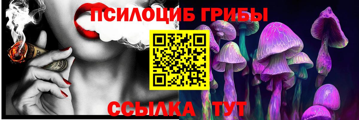 Фролово  Псилоцибиновые грибы Cubensis  Вход с VPN 
