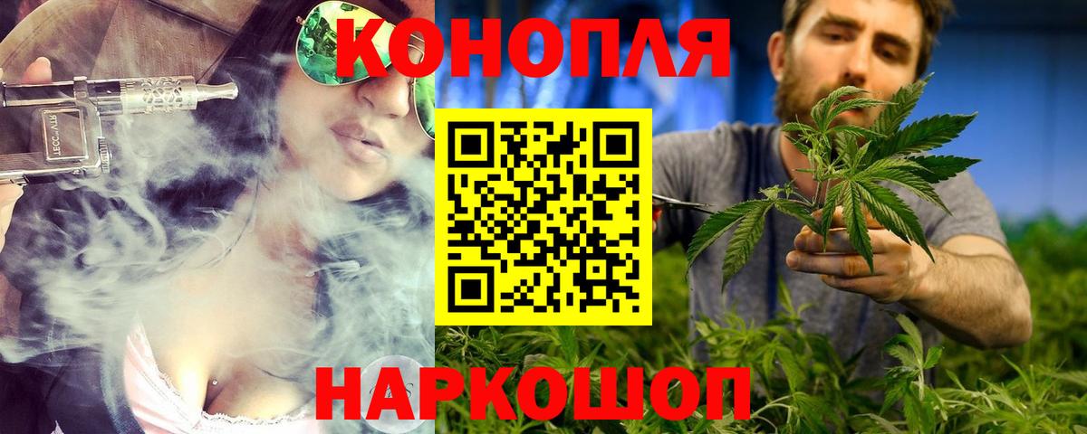 Бошки марихуана White Widow  Конопля Ganja  Марихуана план  Фролово  Вход с VPN  Марихуана индика 
